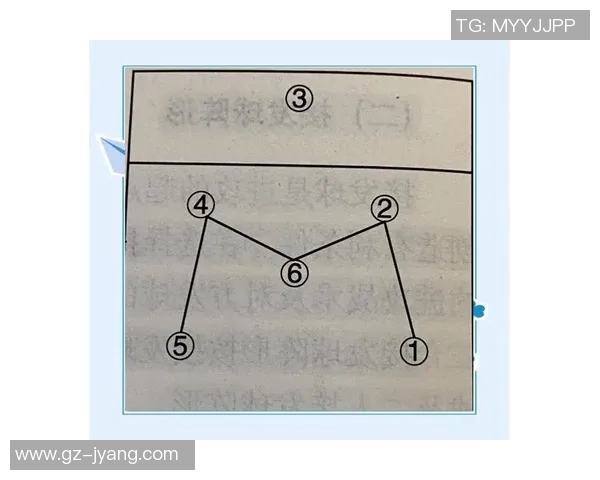 排球深度解析：西安排球队快攻战术的秘密与技巧