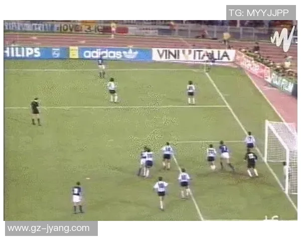 日喀则地区足球明星阵容详细分析与图表展示